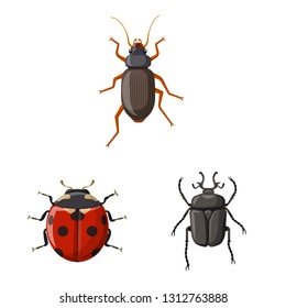 Isolated object of insect and fly logo. Collection of insect and element stock symbol for web.