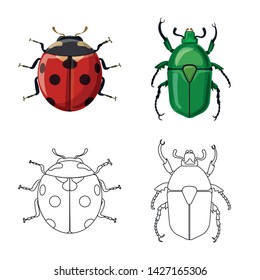 Isolated object of insect and fly logo. Set of insect and element stock symbol for web.