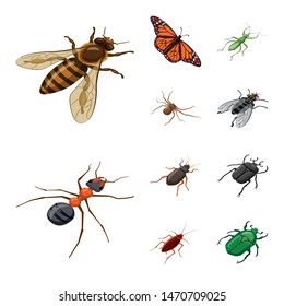 Isolated object of insect and fly logo. Collection of insect and entomology vector icon for stock.