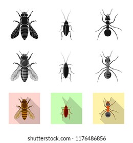 Isolated object of insect and fly sign. Collection of insect and element stock vector illustration.