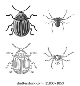 Isolated object of insect and fly sign. Set of insect and element vector icon for stock.