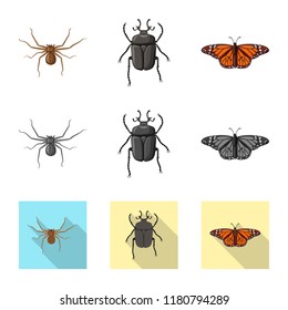 Isolated object of insect and fly sign. Set of insect and element vector icon for stock.