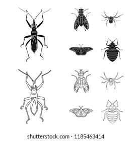 Isolated object of insect and fly sign. Collection of insect and element vector icon for stock.