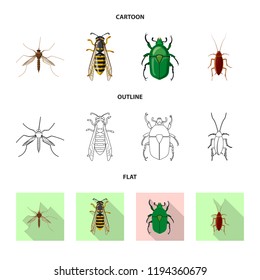 Isolated object of insect and fly sign. Set of insect and element stock symbol for web.