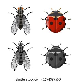 Isolated object of insect and fly sign. Collection of insect and element stock symbol for web.