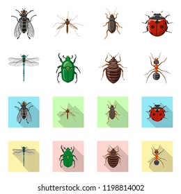 Isolated object of insect and fly sign. Collection of insect and element stock symbol for web.