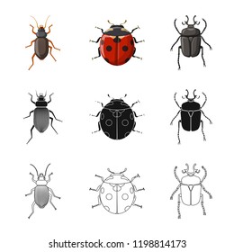 Isolated object of insect and fly sign. Set of insect and element vector icon for stock.
