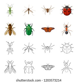 Isolated object of insect and fly sign. Collection of insect and element stock symbol for web.