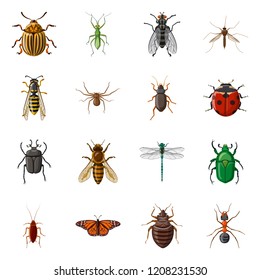 Objeto aislado de insectos y signos de mosca. Conjunto de ícono de insecto y vectorial de elemento para material.