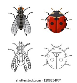 Isolated object of insect and fly sign. Set of insect and element stock vector illustration.