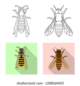 Isolated object of insect and fly sign. Collection of insect and element stock symbol for web.