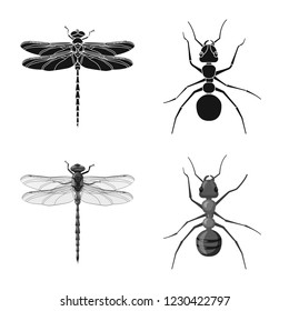 Isolated object of insect and fly sign. Set of insect and element vector icon for stock.