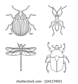 Isolated object of insect and fly sign. Set of insect and element stock symbol for web.