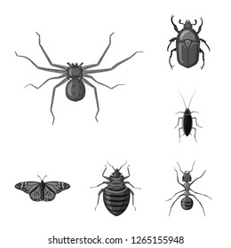 Isolated object of insect and fly sign. Set of insect and element stock symbol for web.