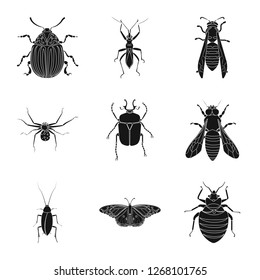 Isolated object of insect and fly sign. Set of insect and element stock vector illustration.