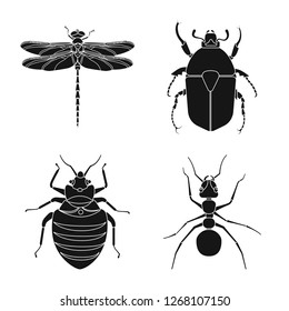 Isolated object of insect and fly sign. Set of insect and element stock symbol for web.