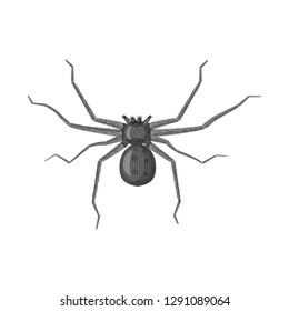 Isolated object of insect and fly sign. Set of insect and element vector icon for stock.