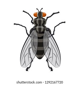 Isolated object of insect and fly sign. Collection of insect and element vector icon for stock.