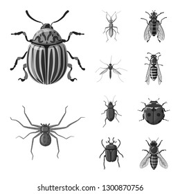 Isolated object of insect and fly sign. Collection of insect and element vector icon for stock.