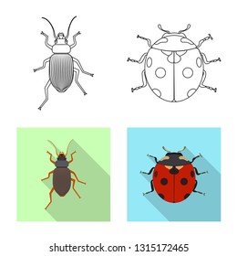 Isolated object of insect and fly sign. Collection of insect and element stock symbol for web.
