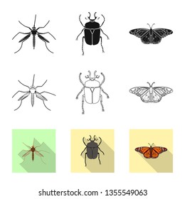 Isolated object of insect and fly sign. Set of insect and element vector icon for stock.