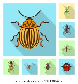 Isolated object of insect and fly sign. Set of insect and element stock vector illustration.