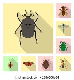 Isolated object of insect and fly sign. Collection of insect and element stock vector illustration.