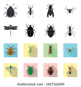 Isolated object of insect and fly sign. Collection of insect and element stock symbol for web.