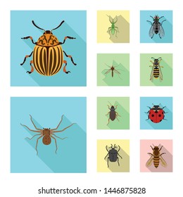 Isolated object of insect and fly sign. Collection of insect and element vector icon for stock.