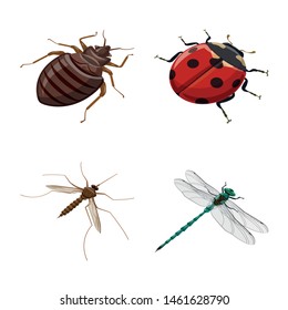 Isolated object of insect and fly sign. Collection of insect and entomology stock symbol for web.