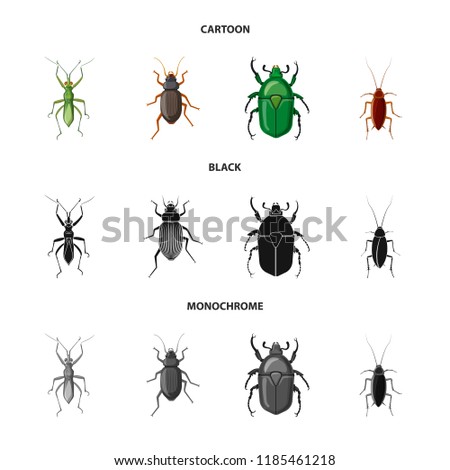 Isolated object of insect and fly sign. Collection of insect and element stock symbol for web.