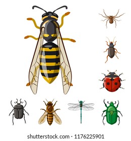 Isolated object of insect and fly symbol. Set of insect and element vector icon for stock.
