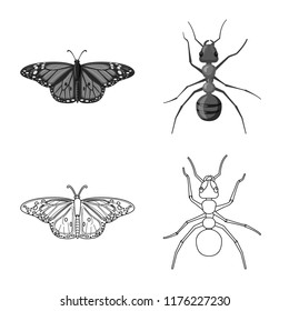 Isolated object of insect and fly symbol. Set of insect and element stock symbol for web.
