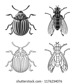 Isolated object of insect and fly symbol. Collection of insect and element stock symbol for web.