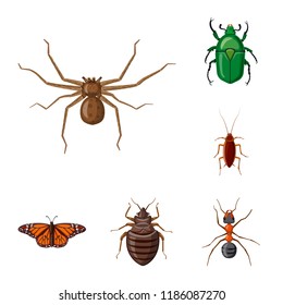 Isolated object of insect and fly symbol. Collection of insect and element vector icon for stock.