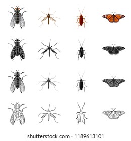 Isolated object of insect and fly symbol. Collection of insect and element vector icon for stock.