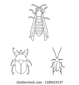 Isolated object of insect and fly symbol. Set of insect and element stock vector illustration.
