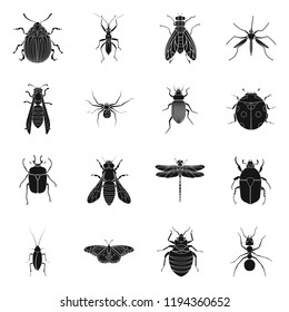 Isolated object of insect and fly symbol. Set of insect and element stock vector illustration.