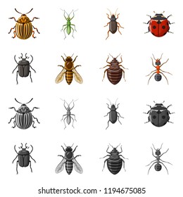 Isolated object of insect and fly symbol. Set of insect and element stock symbol for web.