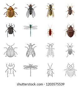 Isolated object of insect and fly symbol. Collection of insect and element vector icon for stock.