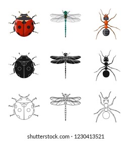 Isolated object of insect and fly symbol. Set of insect and element stock symbol for web.