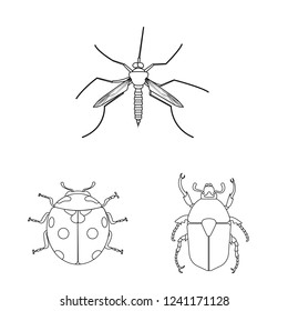 Isolated object of insect and fly symbol. Collection of insect and element stock symbol for web.