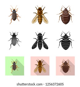 Isolated object of insect and fly symbol. Set of insect and element stock vector illustration.