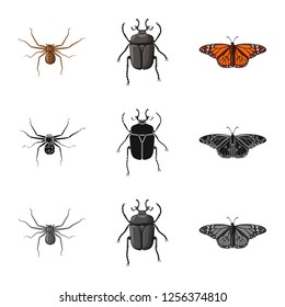 Isolated object of insect and fly symbol. Set of insect and element stock symbol for web.