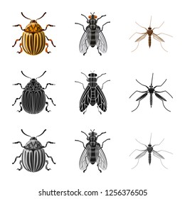 Isolated object of insect and fly symbol. Collection of insect and element stock symbol for web.