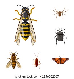 Isolated object of insect and fly symbol. Set of insect and element stock symbol for web.