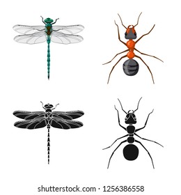 Isolated object of insect and fly symbol. Collection of insect and element vector icon for stock.