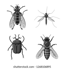 Isolated object of insect and fly symbol. Set of insect and element stock symbol for web.
