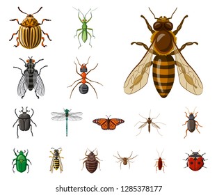 Isolated object of insect and fly symbol. Collection of insect and element vector icon for stock.