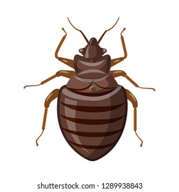 Isolated object of insect and fly symbol. Set of insect and element stock vector illustration.